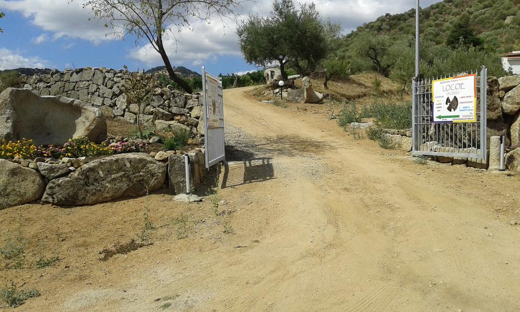 הוילה אוליאנה Agriturismo Locoe מראה חיצוני תמונה