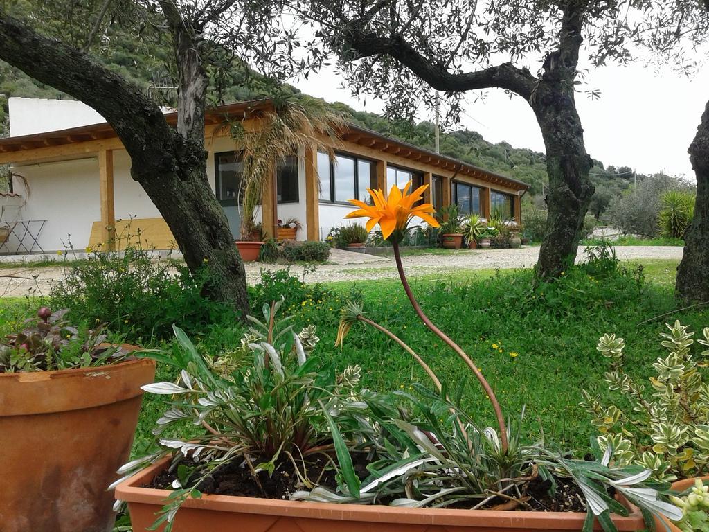 אוליאנה Agriturismo Locoe מראה חיצוני תמונה