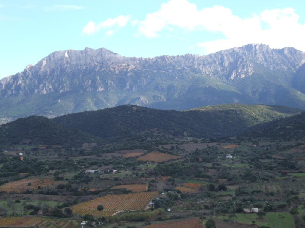 אוליאנה Agriturismo Locoe מראה חיצוני תמונה