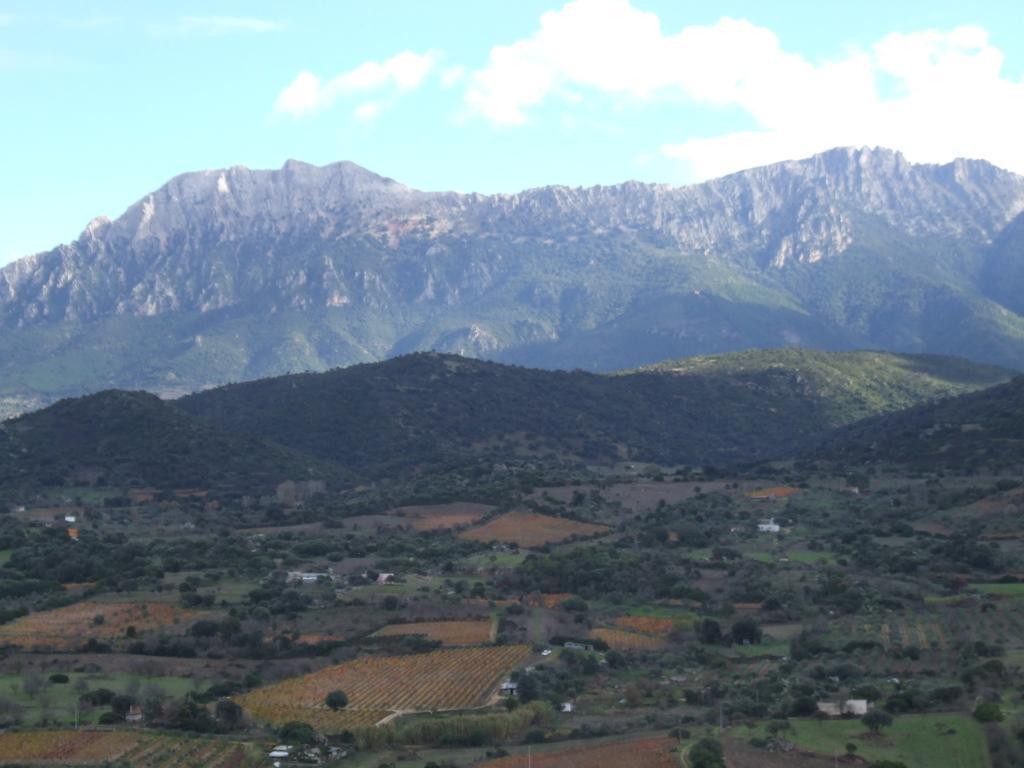 הוילה אוליאנה Agriturismo Locoe מראה חיצוני תמונה